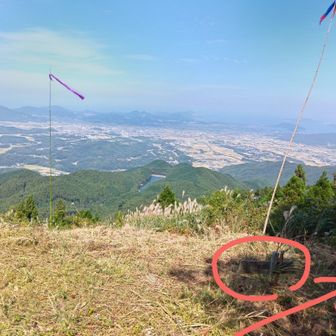 看板が低くて分かりづらいが、奥に進むと下山の道
この後、林の中を通って無事下山⛰️