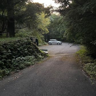 本日は🚗あり
