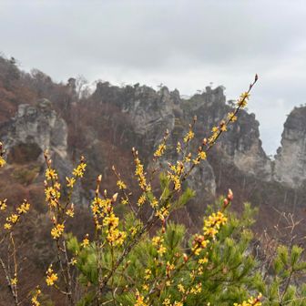 お花越しの奇岩