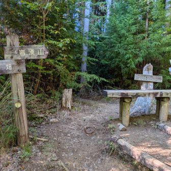 扇山に入る分岐点
