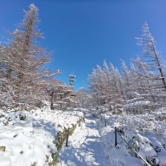 王ヶ頭に向けて。
美しブルー美し。