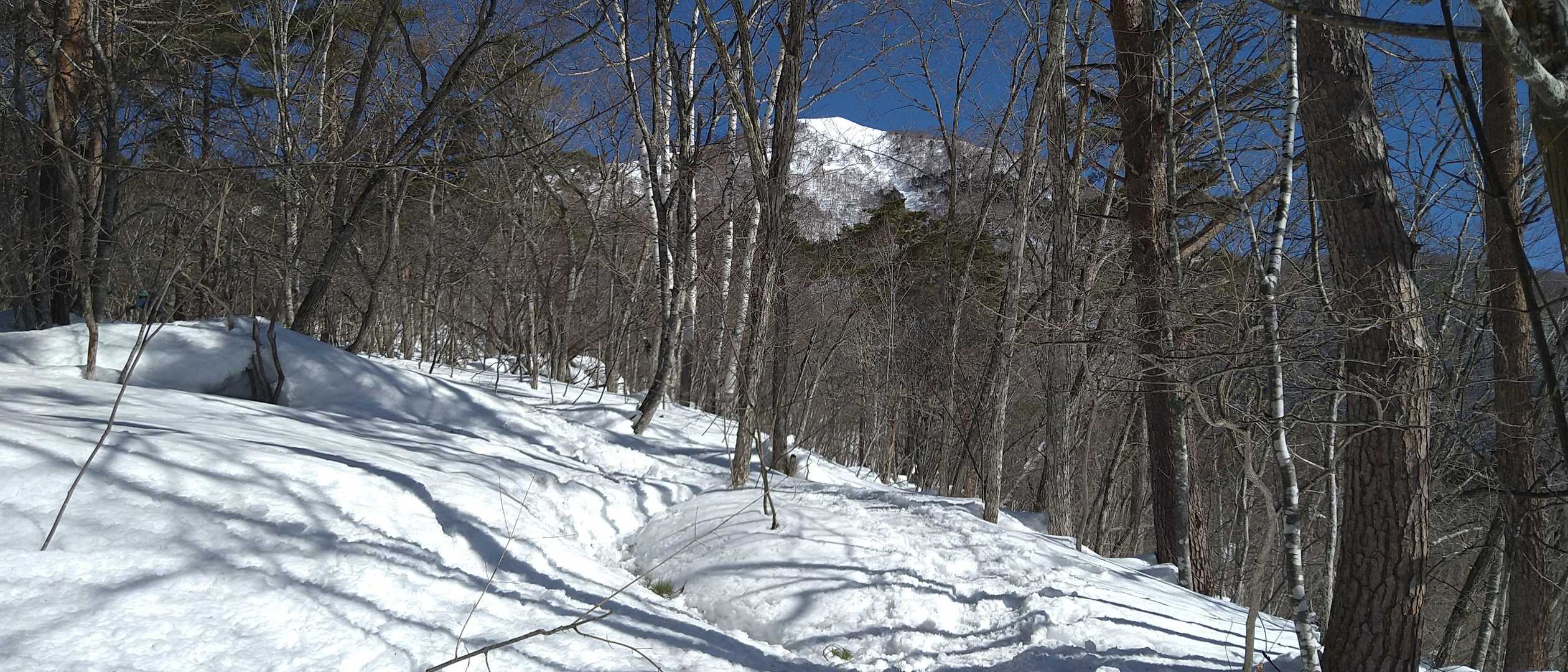 このあたりからは厳しい傾斜の登りが続く。視界の先には山頂が目に入る。