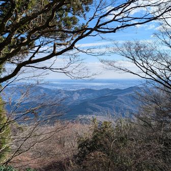 霞ヶ浦が見える