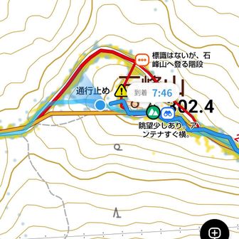 石峰山の後は、軌跡がポッコリ膨らむのが嫌なので今回も森の中を真西に突っ切ります🚶
蜘蛛の巣攻撃が凄かった😩