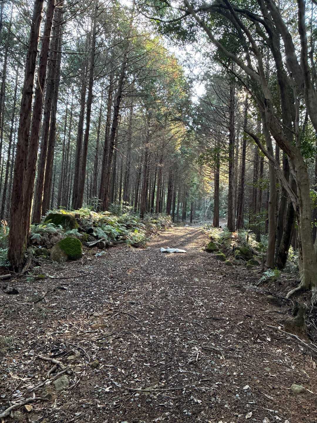 日差しも明るい😊