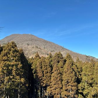 下山後の鶴見岳⛰️
ほとんど白く無い…