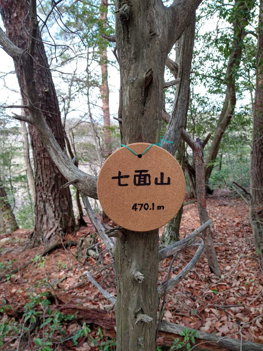 七面山到着。