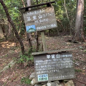 翠黛山ピーク✨