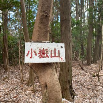 小嶽山登頂⛰️
