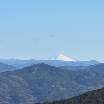 今日もキレイです