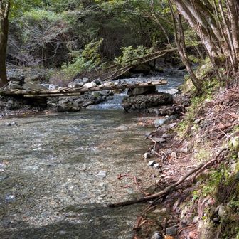 最後の渡渉🚶‍♀️
連日の大雨の影響で川幅が広くなりました？
歩けるところが狭くなってました。
（迂回するような道もできてました）