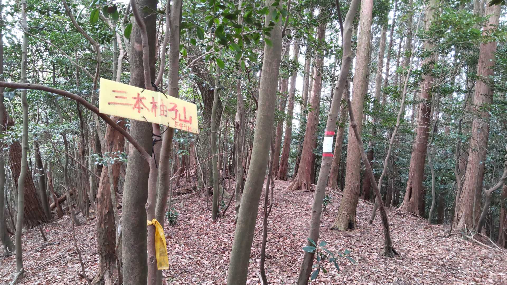 三本柚子山⛰（さんぼんゆずやま）