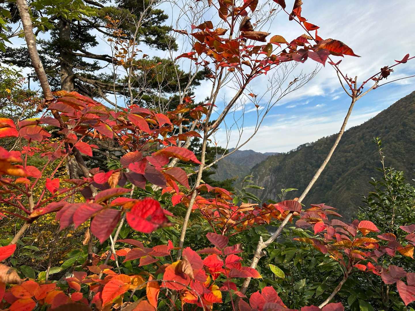 いきなりの急登、そして紅葉🍁