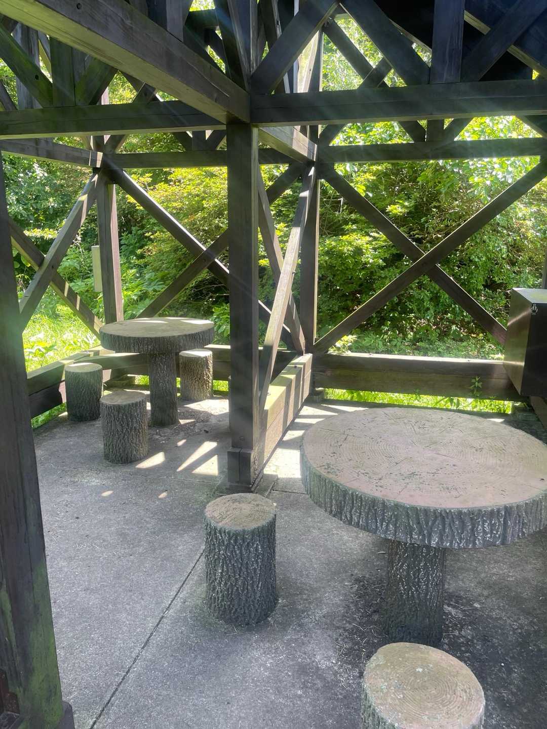 日山 往復コースの写真