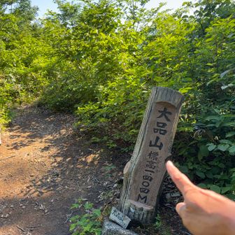 大品山に到着！
残念ながら眺望なし😱