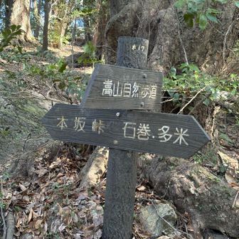 嵩山自然歩道から右方向の豊橋自然歩道へと。左方向は本坂峠へ