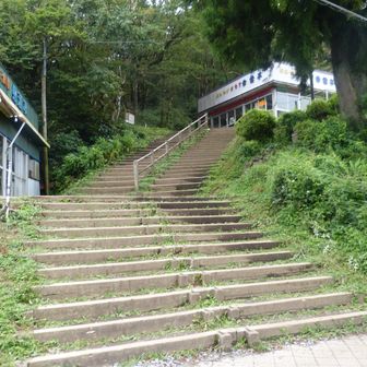 男体山への登りは再び階段です。