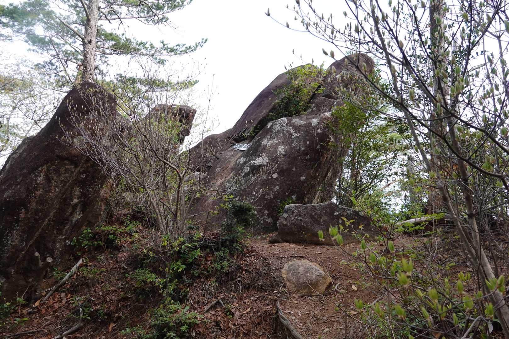 山頂風景