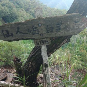 ここが県境の分岐
ここから群馬県内に入ります