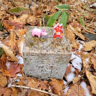 写真録ったのでさっさと降りるぞ（笑）