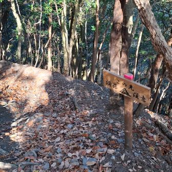 落ち葉が滑りやすく、滑落注意の看板に若干ビビりますが、二本松尾根ルートは全体的に下りやすい印象でした。