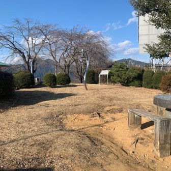 初めて登ってみたけど開放的