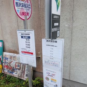 二つの路線バス
左は土日祝㊗️のみみたいです。