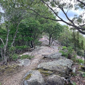 「タイコ岩」に向かいます
尾根を歩きます
