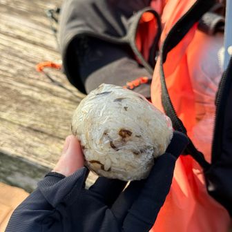 ここで朝ごはん🍙
今日はツナと塩昆布の炊き込みご飯です！
タンパク質と塩分大事‼️