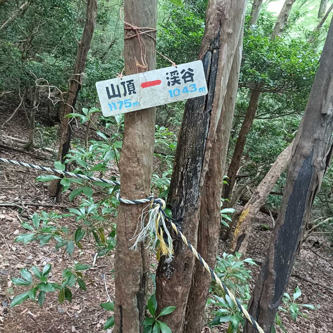 半分近くまで登って来ました👍