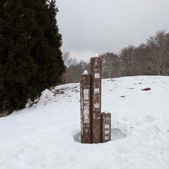 最後のピークで💩×3