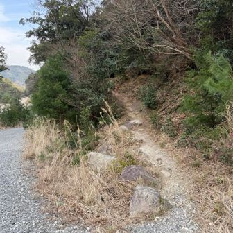 まだ登山道が続く