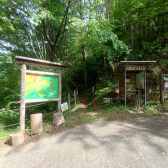 鳩打峠登山口　
先ずは小八郎岳に登ります