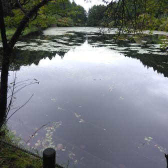 東から西方向撮影
