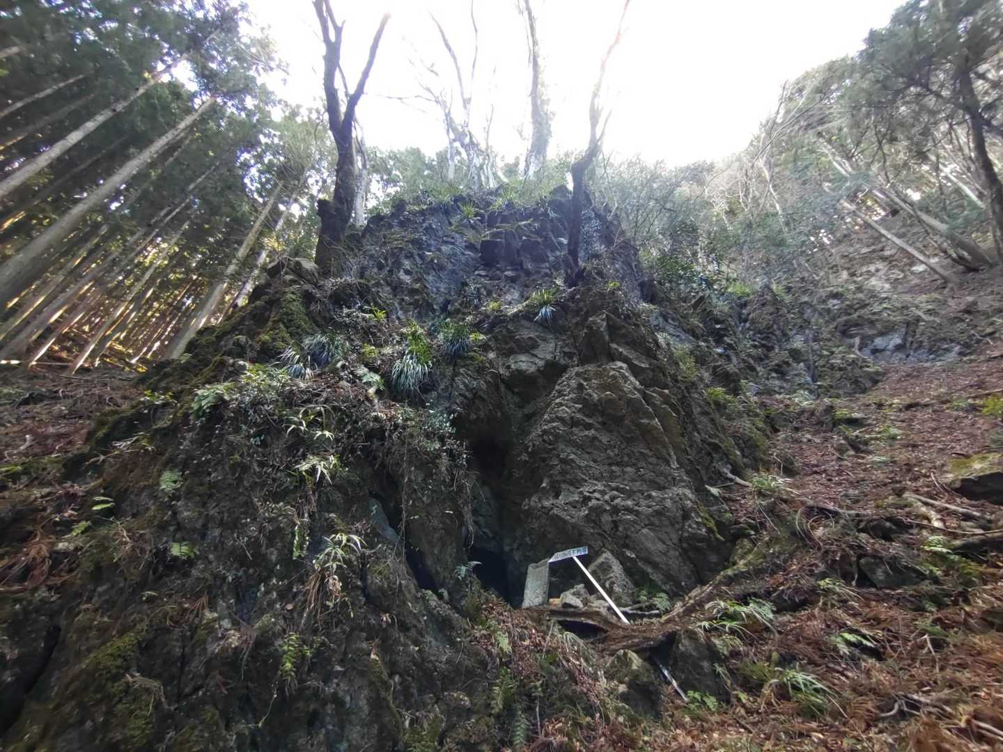 こちらは