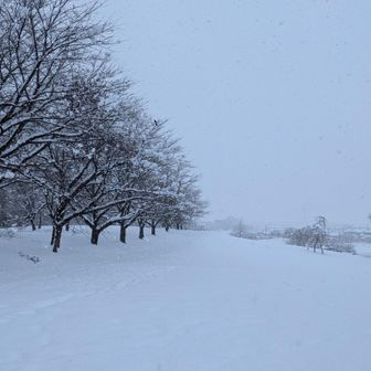 諦めて公園へ戻り、少し歩いてみます。
水墨画の世界…