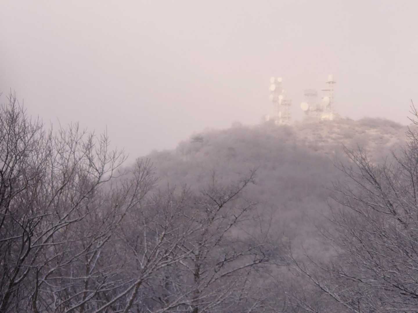 長七郎山 往復コースの写真