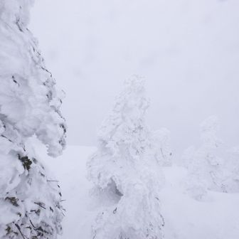 新しそうなトレース見つけて、それを辿ることに