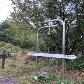 とりあえず…鳴らしてみました