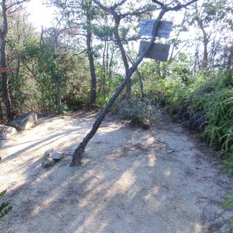 西目山（312.19ｍ）
三等三角点（西目山）が置かれている
ここで一息ついたら ☕️