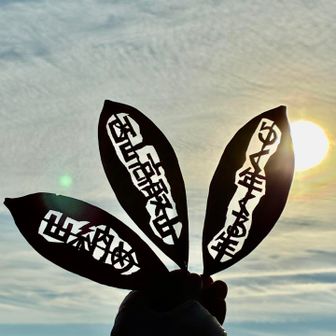 逆光もまた良き良きですねー✨素敵😍