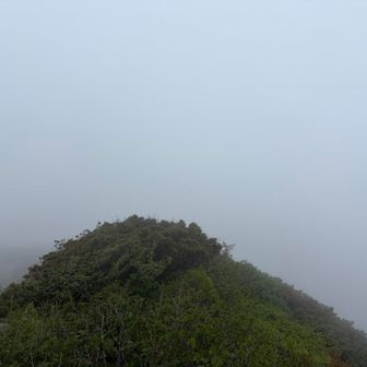 どうやら真っ白だったもよう