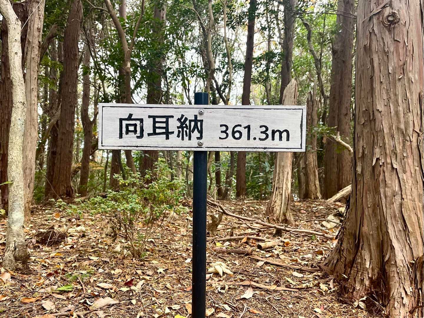最後のピーク
向耳納到着です︎👍🏻 ̖́-