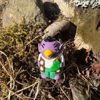 また力試しにいらっしゃいな♪と言われた気がした初詣でした😂  ※おみくじは｢吉｣でした♪