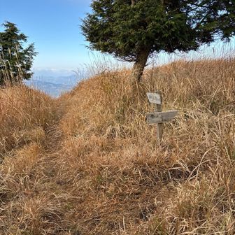 急坂コースで帰ります→