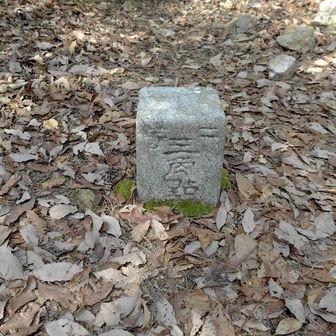 きれいな三角点。南南西向きです。スマホが新しくなったら、コンパスの表示がSSE（アルファベット）から北北東（感じ）に変わってびっくり。