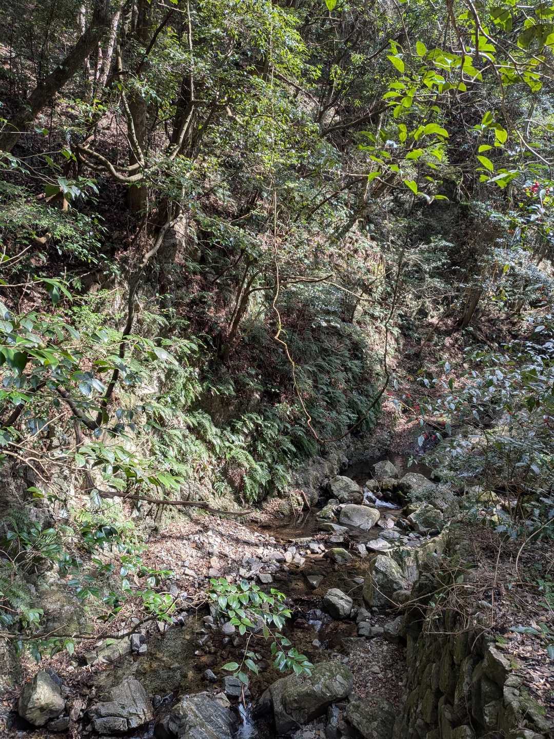 色々ありながらもケヤキ谷に戻ってきた😌
おつかれ山！