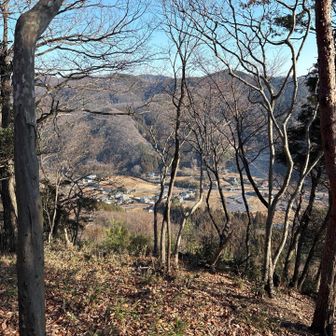 暫く落ち葉の急登を歩くと、少し開けて景色が見えた👀🍂
向こうの山は行道山辺りかなぁー？