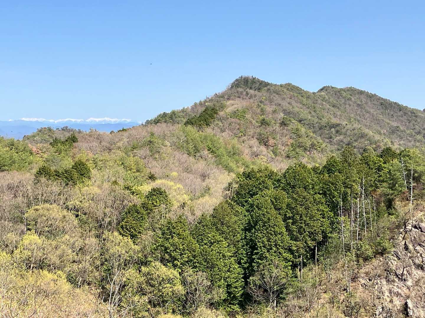 芥見権現山-願成寺山 周回コースの写真