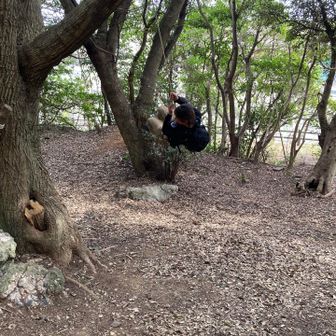 👴：・・・😳‼️【あははは🤣勢いつけ過ぎ‼️】
🌟：巾ちゃ〜ん、止まらな〜い🤣❗️